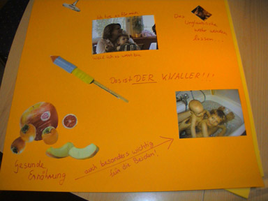 frauschwer-collage