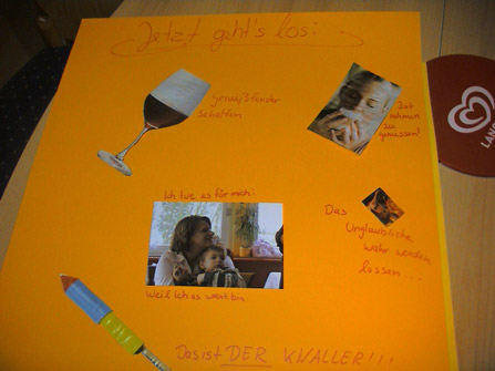 frauschwer-collage2
